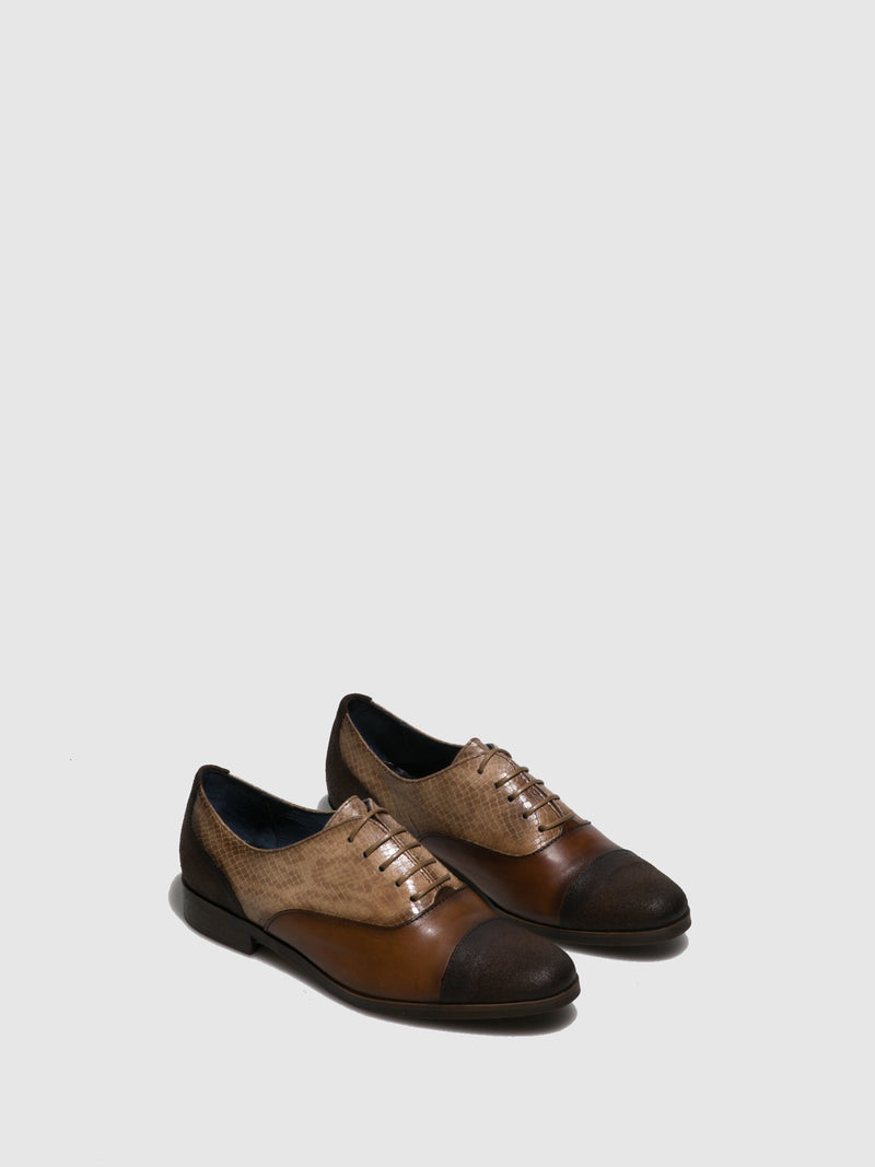 PintoDiBlu Brown Lace-up Shoes